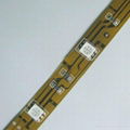 DC12V/24V SMD5050 LED Flexible Strip