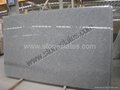 China Granite Slabs Absolute LOW Price 2
