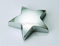 Star Shape Paperweight