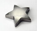 Star Shape Paperweight 2