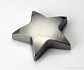 Star Shape Paperweight