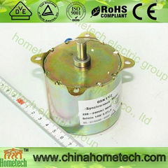 Synchrous motor HT-65KTYZ