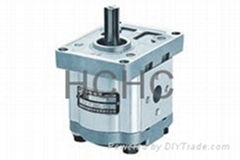 CBW-F306 GEAR PUMP