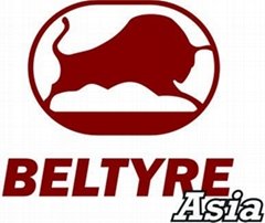 Belshina Asia Pte. Ltd