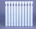 cast iron radiator (SC(WS)TXY2-6-8(10)) 2