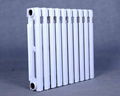 cast iron radiator (SC(WS)TXY2-6-8(10)) 4