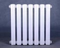 rz500 cast iron radiator