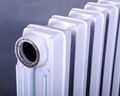 RZ-300 cast iron radiator 4