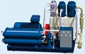 ZW-3.22/1-250水冷天然氣壓縮機