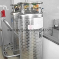 LNG 195L Effective Volume Cryogenic Empty Gas Cylinder