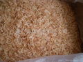 FRESH DRIED SHRIMP 1