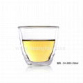 Double Wall Glass Cup 1