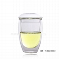 Double Wall Glass Cup 1