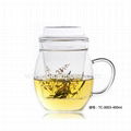 Glass Cup With Infuser & Lid 1