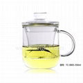 Glass Cup With Infuser & Lid 1