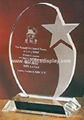 crystal trophy star trophy 