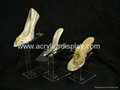 acryl acrylic shoes display stand