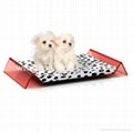 lucite acrylic dog bed