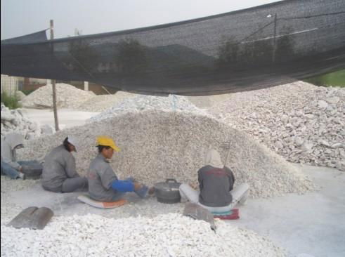 Factory directly sell ultra-fine dolomite powder 325 mesh to 1250 mesh 2