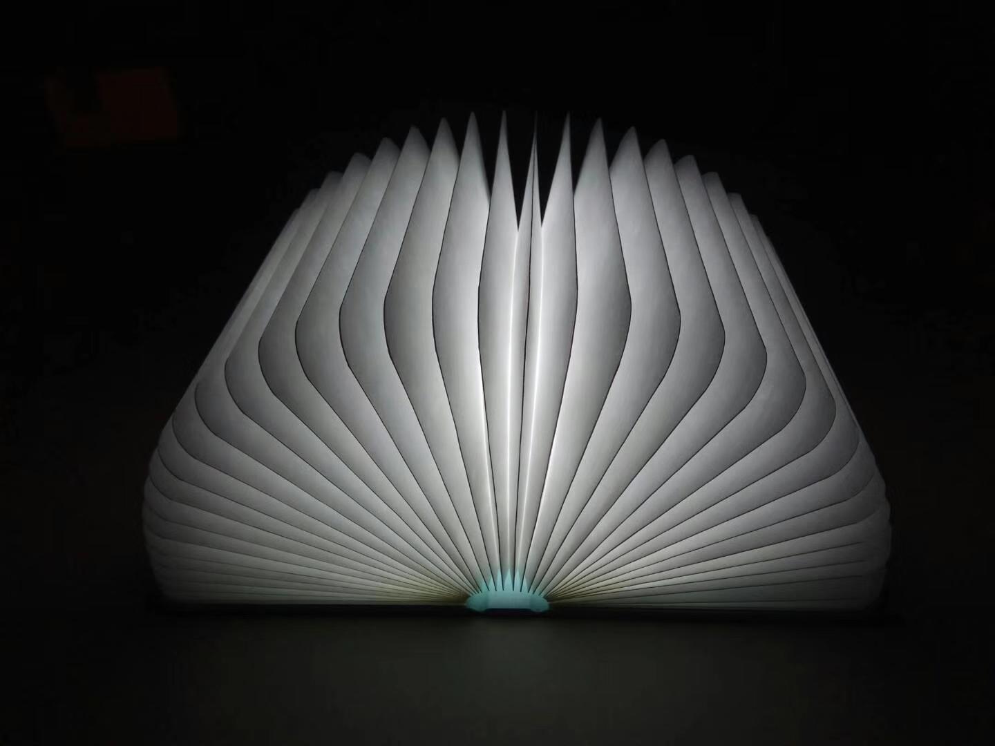  Tyvek Booklamp 4