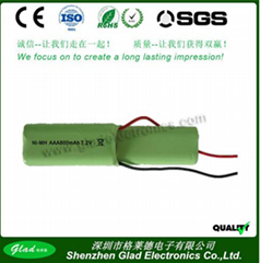 AAA 900mAh/1000mAh rechargeable ni-mh battery 1.2V toy battery