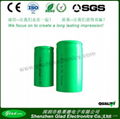 Size D 12V 8000~10000mAh rechargeable Ni-MH batteries 1