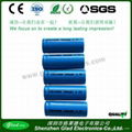 2400mAh 18650 li-ion battery 3.7v for torch light