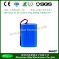 Swingcar Battery 36V 4.4ah Li-ion Battery 5