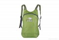 Stylish folding waterproof backpack