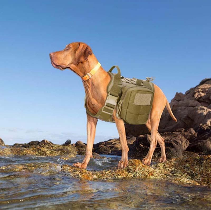Durable Tactical Vest for the Military Dog,The Military Dog Tactical