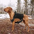 X COMMANDER Tactical Harness,Level IIIA Dog Body Armor Canine K9 Police Vest 