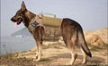Level IIIA Dog Body Armor Canine K9