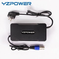 YZPOWER 29V 5A Smart Standard Battery Use Electric Type Best Quality CE ROH