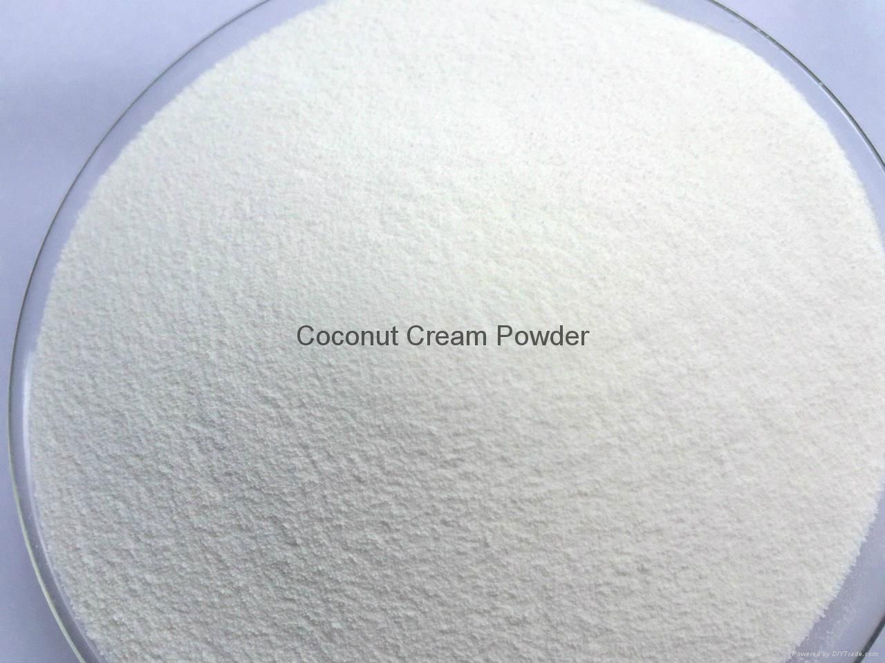 Coconut milk powder