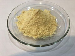 Freeze Dried Durian Powder