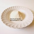 Natural Fruit Extract Powder