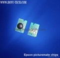 PICTUREMATE T557/T4846/T4852 chips