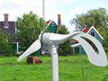 Angel 200w  風力發電機   2