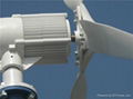 Angel 200w wind turbine    5