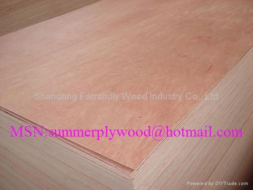 12mm Bintangor Plywood