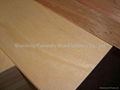  Red Hardwood Faced Plywood