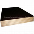 Black Film Faced Plywood for Construction 1