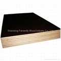 Black Film Faced Plywood for Construction