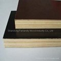 Brown Film Faced Plywood for Construction