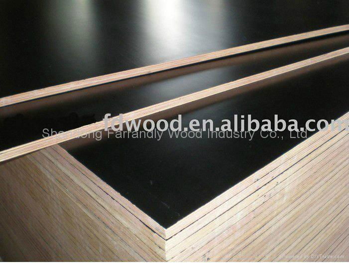 Dynea Film Faced Plywood 3