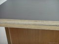 Black Film Faced Plywood for Construction 2