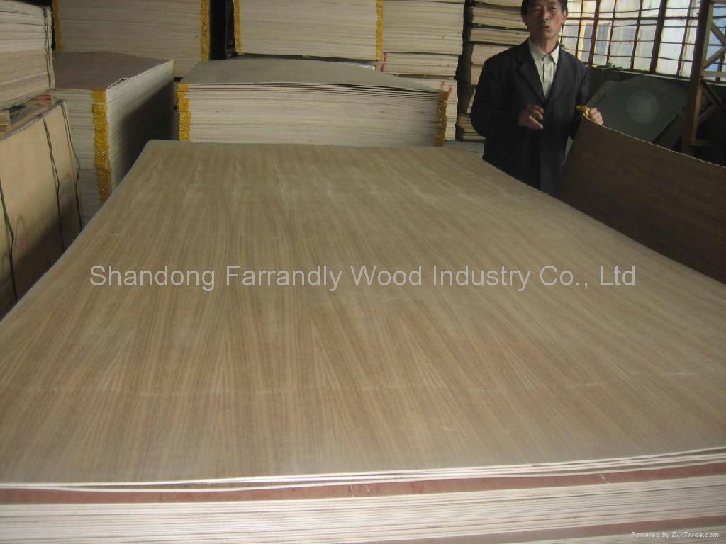 Natural Teak Fancy Plywood 3