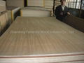 Natural Teak Fancy Plywood 3