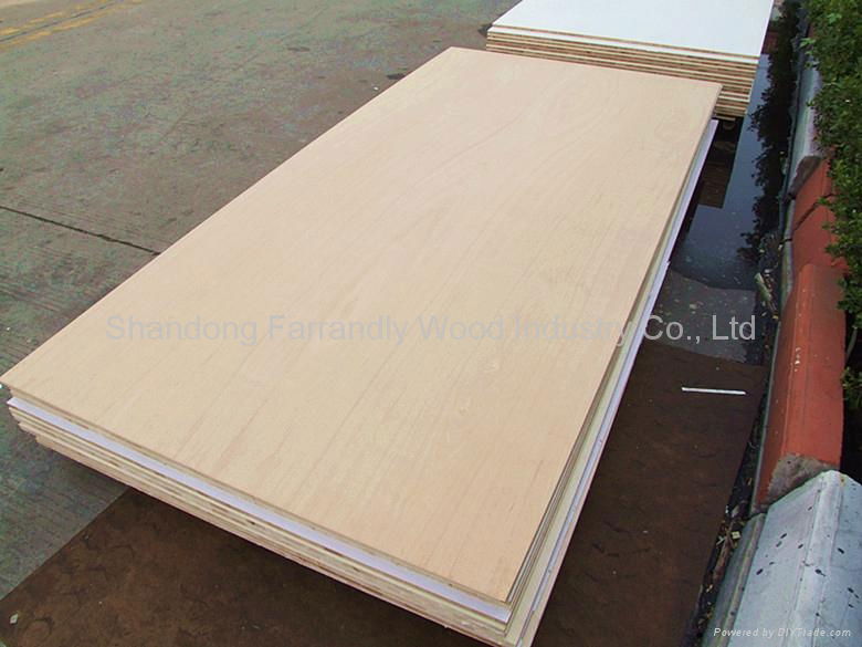 Yellow Color Marsawa Faced Plywood 2