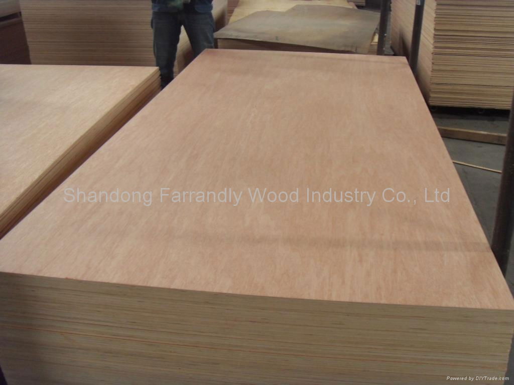 12mm Bintangor Plywood 2